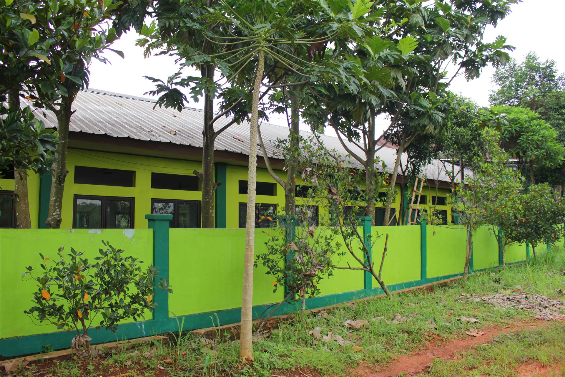 Pojok Sekolah 9