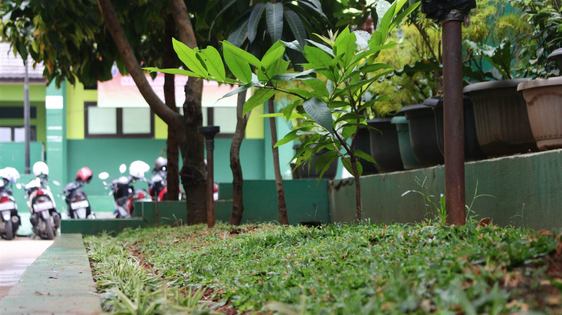 Pojok Sekolah 17