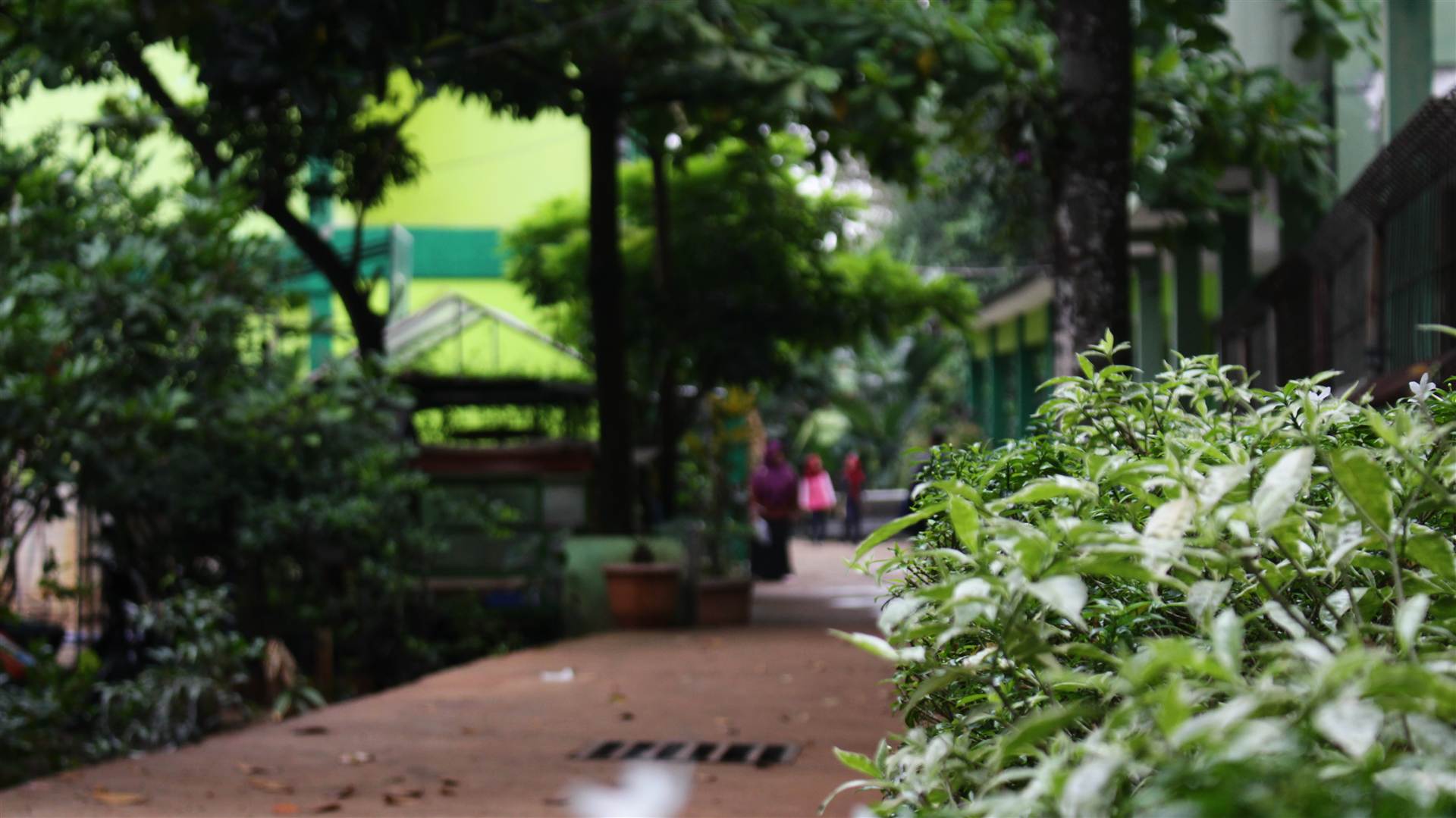 Pojok Sekolah 21